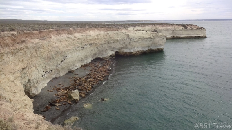 2024-09-27-14-Punta-Loma-sealion-colony