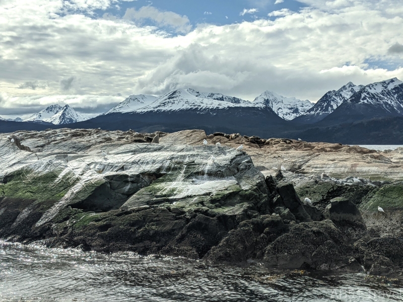 2024-10-08-11-Beagle-Channel