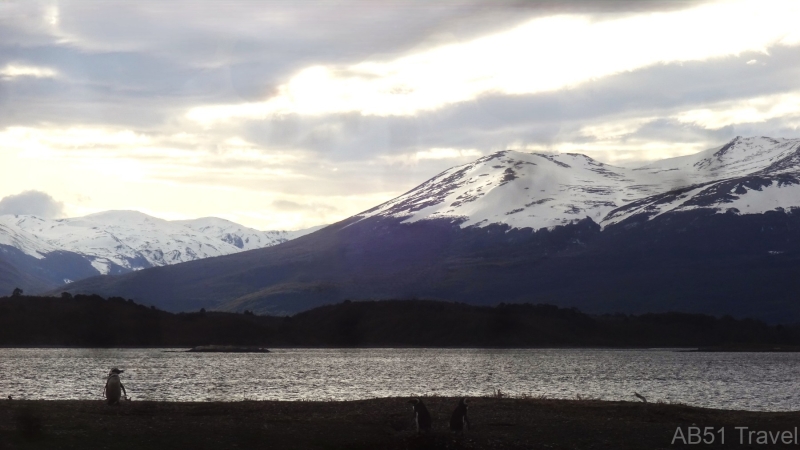 2024-10-08-27-Isla-Martillo-Beagle-Channel