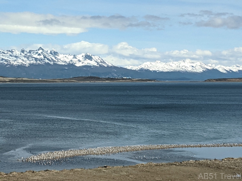 2024-10-14-01-Gulls-on-sand-bank