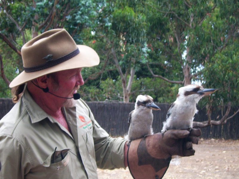 Kangaroo Island bird show