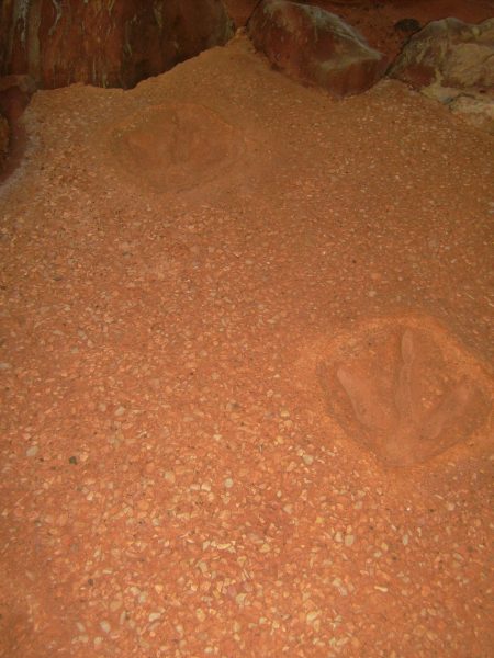 Dinosaur footprints, Gantheaume Point