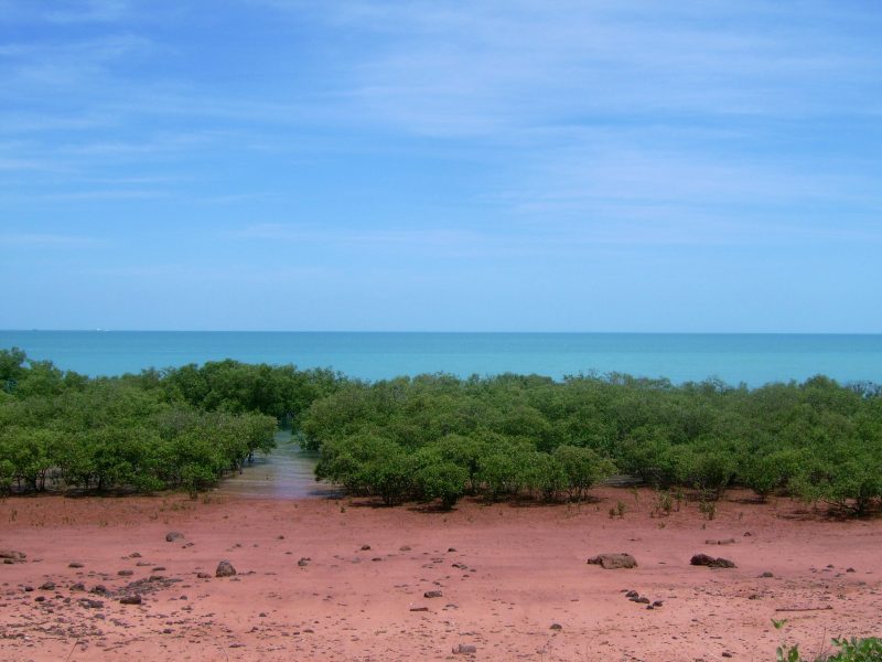 Broome