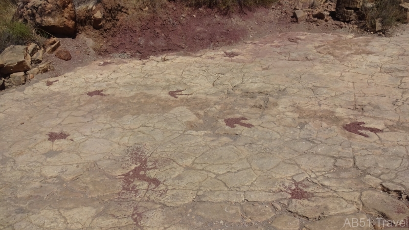 2024-08-17-19-Dinosaur-footprints-outside-Humajalanta-cave