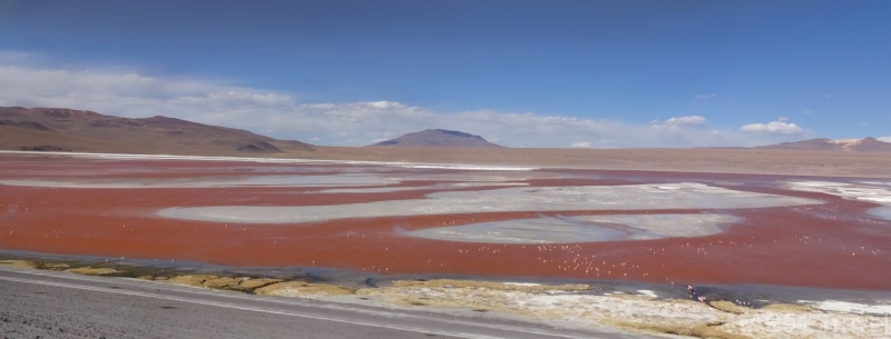 2024-09-01-118-Laguna-Colorada