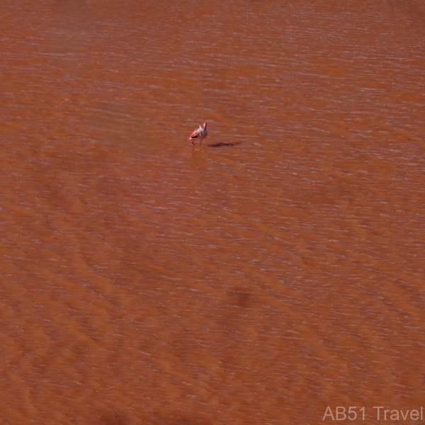 2024-09-01-132-Laguna-Colorada