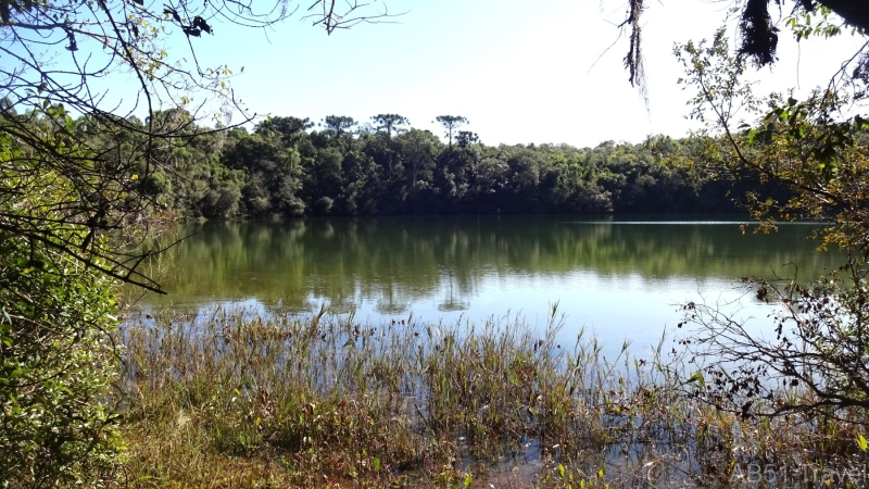 2024-06-27-03-Parque-Vila-Velha-Golden-Pond