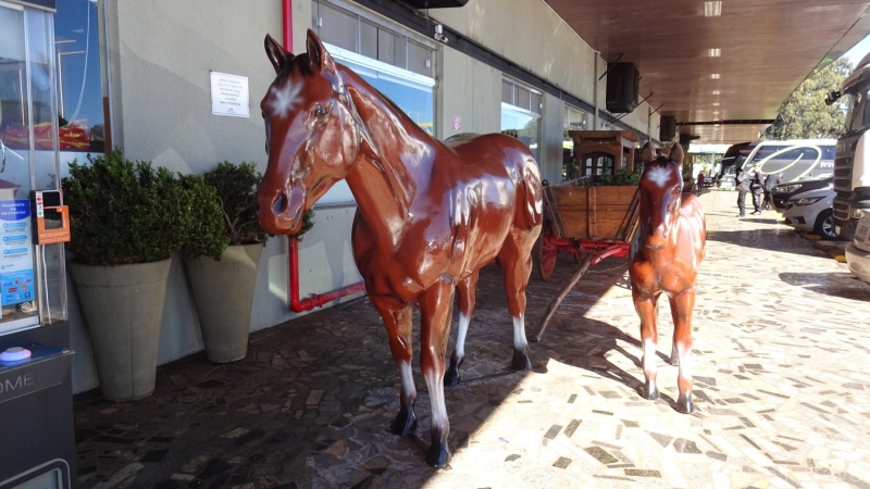 2024-06-30-02-At-rest-stop-on-way-to-Foz-do-Iguacu