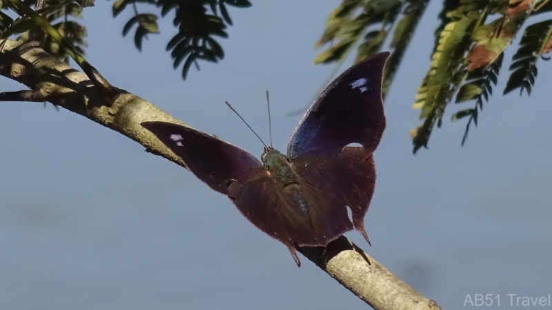 2024-07-01-121-Banana-Trail-Iguazu-Falls