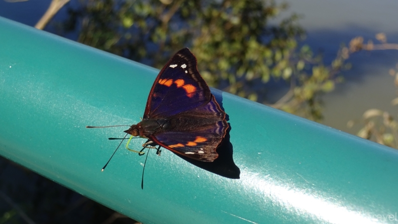 2024-07-01-123-Banana-Trail-Iguazu-Falls