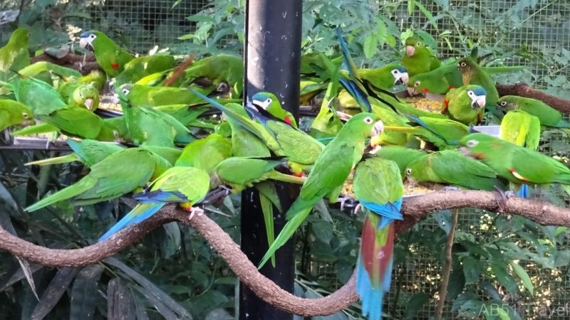 2024-07-01-150-Parque-das-Aves