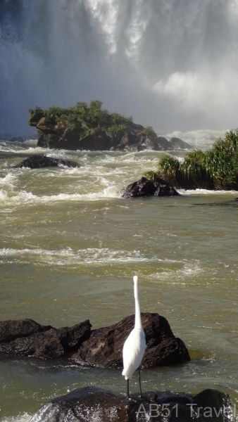 2024-07-01-69-Iguazu-Falls