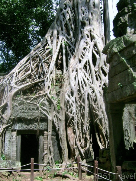 Ta Prohm