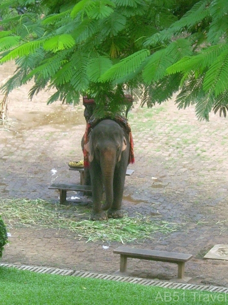 Wat Phnom