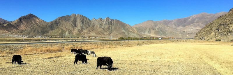 Tibet Plateau