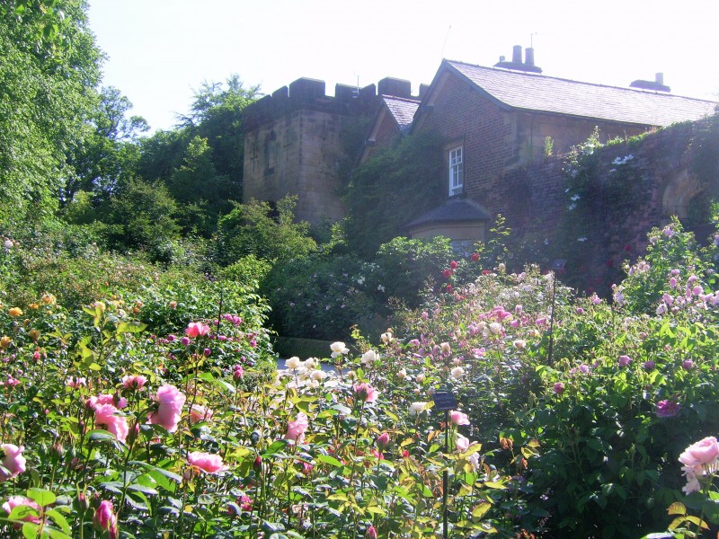 Alnwick Castle gardens