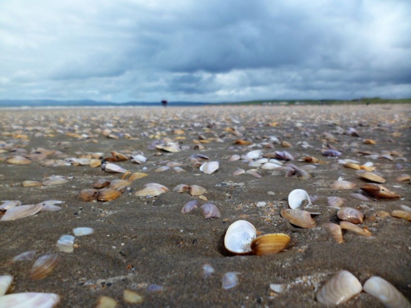 Rossnowlagh