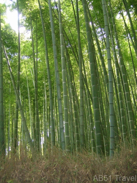 Arashiyama