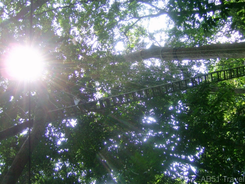 Canopy walk, Taman Negara