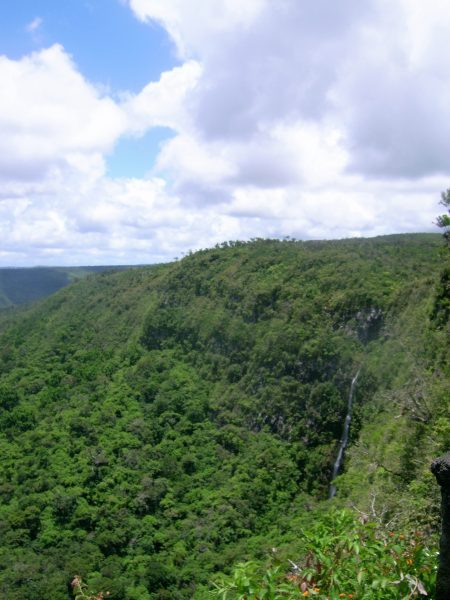 Black River Gorge