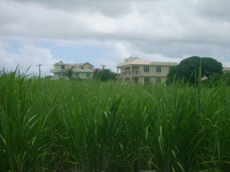 Plantation housing