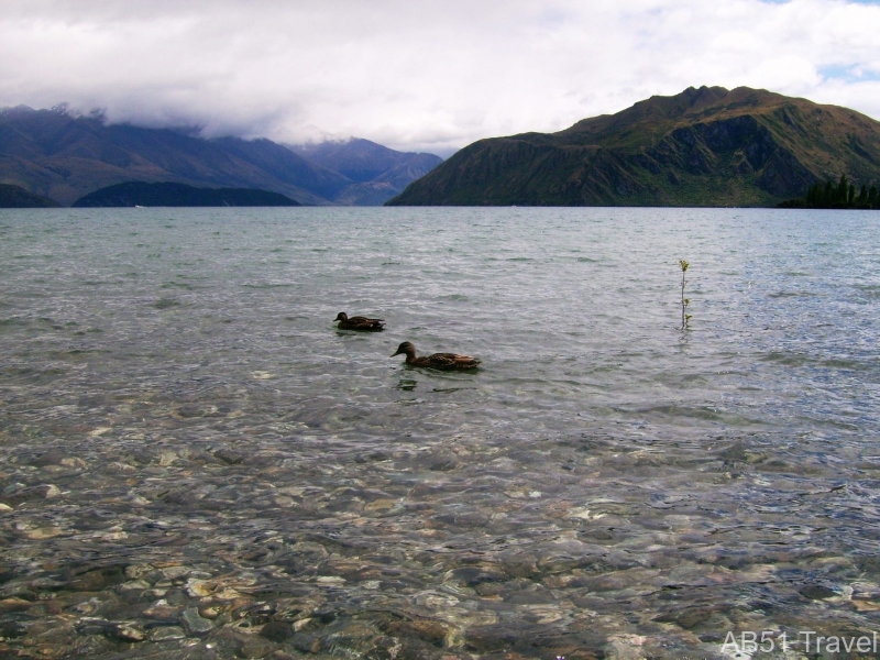 Elly Point, Wanaka