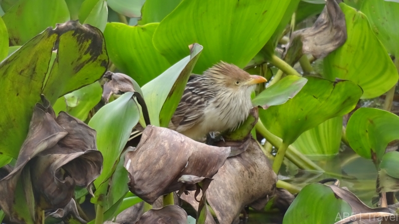 2024-07-13-18-Rio-Paraguay-Fuerte-Olimpco