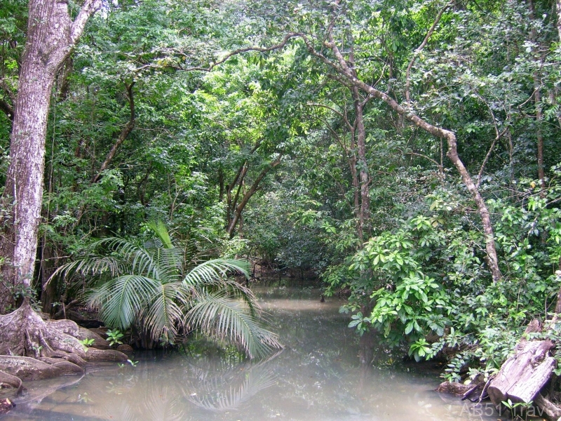 Puerto Princesa Subterranean River National Park