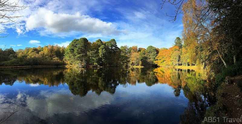 Clyans Wood