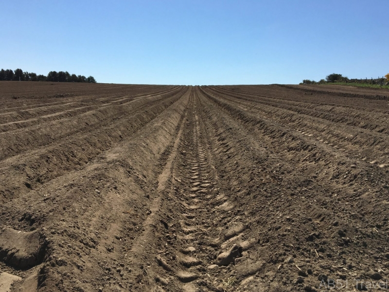 Ploughing