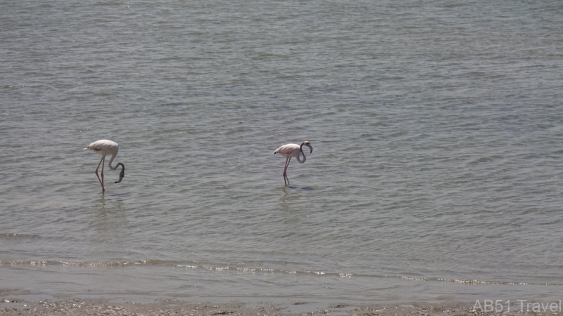 21.10.28-16-Berbera