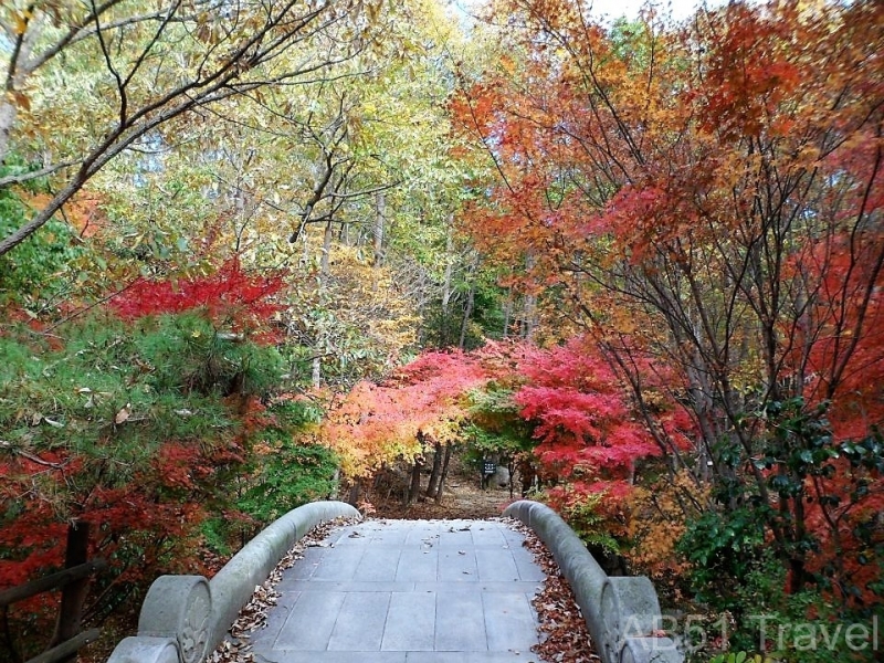 Wolchulsan