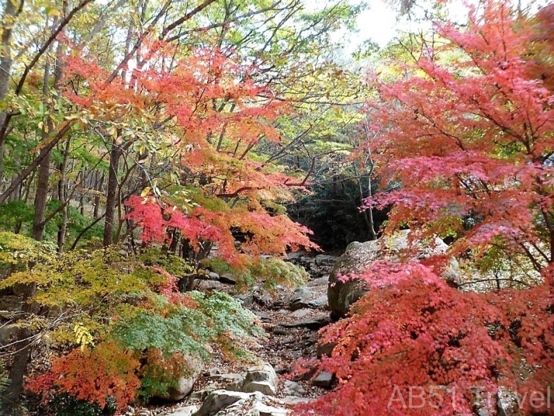 Wolchulsan