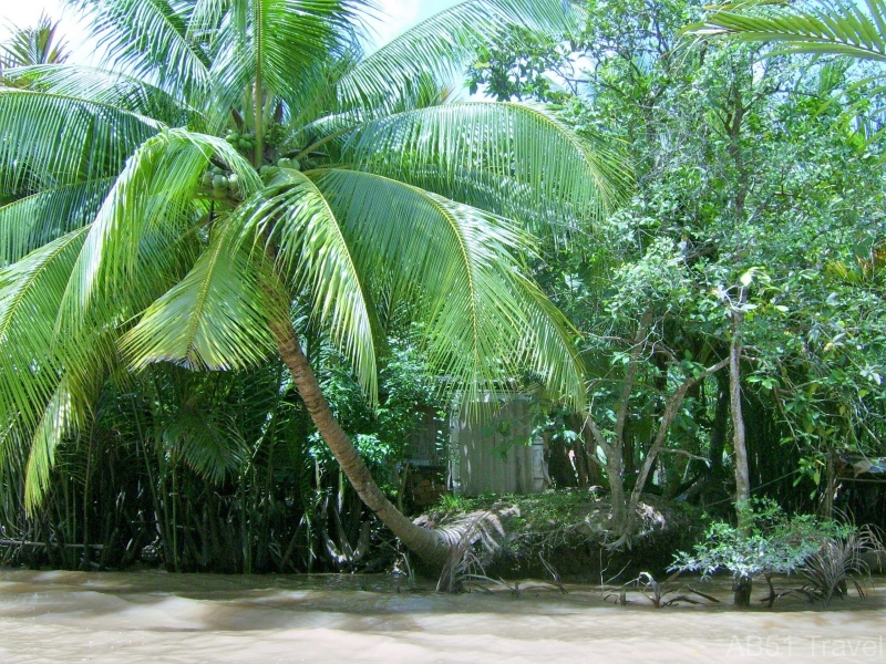 Mekong Delta