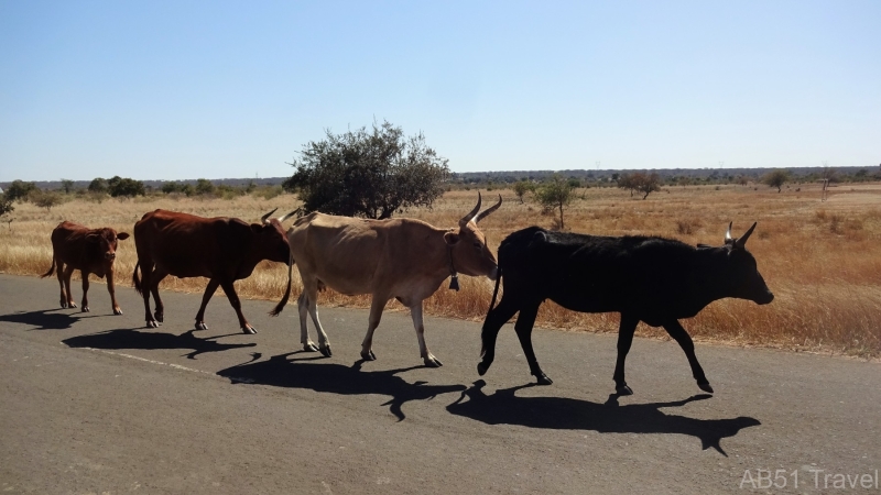 130-2022-07-26-To-Mukuni-Village